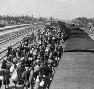 Aankomst transport op Auschwitz - bron: YadVashem.org